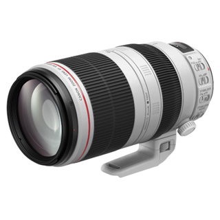 【出租】Canon EF 100-400mm F4.5-5.6 L IS II 二代 變焦望遠鏡頭 演唱會 球賽 廟會