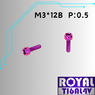 【瘋螺絲】ROYAL 鈦合金螺絲★ M3*12B P:0.5 錐形螺絲★64鈦/正鈦/鈦合金螺絲★出貨附發票★皇家紫