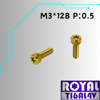 【瘋螺絲】ROYAL 鈦合金螺絲★ M3*12B P:0.5 錐形螺絲★64鈦/正鈦/鈦合金螺絲★出貨附發票★土豪金