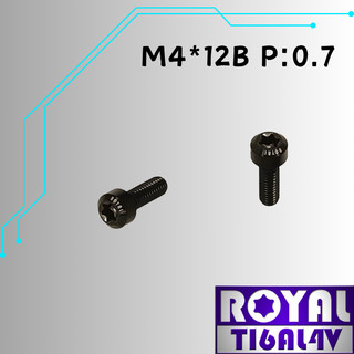 【瘋螺絲】ROYAL 鈦合金螺絲★ M4*12B P:0.7 錐形螺絲★64鈦/正鈦/鈦合金螺絲★出貨附發票★帝王黑