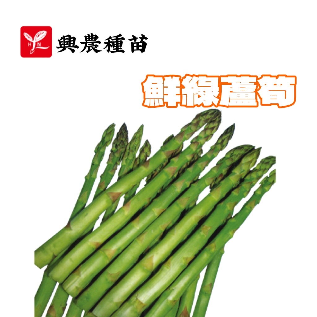 鮮綠蘆筍 蘆筍 (週年可種) 【蔬果種子】鮮綠蘆筍種子 蘆筍種子 興農牌 中包裝種子 每包約2公克