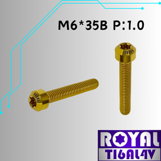 【瘋螺絲】ROYAL 鈦合金螺絲★ M6*35B P:1.0 錐形螺絲★ 64鈦/正鈦/鈦合金螺絲★出貨附發票★土豪金