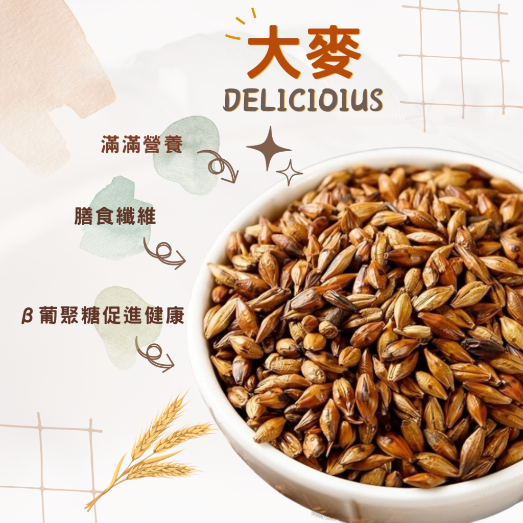 茶飲【大麥】黃金大麥 麥茶 茶 麥香紅茶 大麥 黃金大麥