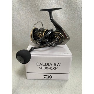 🔥【臺南平昇釣具】🔥 DAIWA 22年 CALDIA SW 紡車 捲線器 大物捲線器 全新品