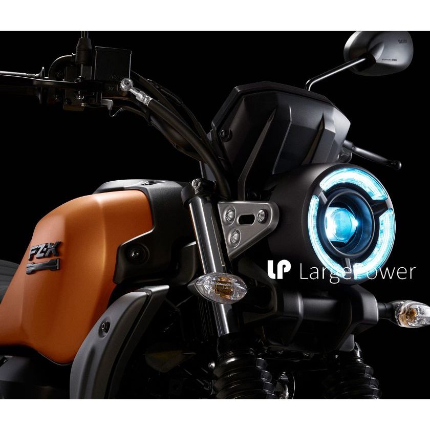 YAMAHA FZ-X FZX 大燈護片 大燈護目鏡 燈片 變色片 大燈保護