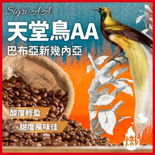 天堂鳥 AA 咖啡豆 黑咖啡 咖啡粉 coffee 咖啡 單品咖啡 精品咖啡 美式咖啡 《熾咖啡烘焙工坊》