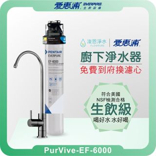EVERPURE 愛惠浦 EF6000 廚下淨水器 淨水器 濾水器 飲水機 濾芯 濾心 過濾器 愛惠普 愛惠浦淨水器