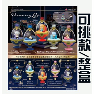 全新現貨/開立發票【RE-MENT】盒玩新世紀福音戰士睡夢壺 明日香 零波零 睡夢 EVA 福音戰士 全5款