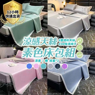 【臺灣現貨 免運費 贈枕套】1800D碳光冰絲面料 冰絲涼席 冰絲席 涼席 冰涼墊 單人涼席 雙人涼席 冰絲床包 床包