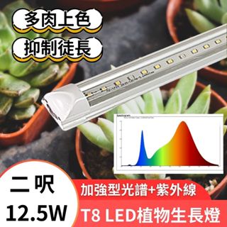 【君沛】LED植物燈 T8植物燈管 2呎12.5W 加強型光譜+紫外線 植物生長燈 插頭式設計免燈管支架