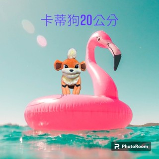 Pokemon 精靈寶可夢 卡蒂狗娃娃 20CM 20公分