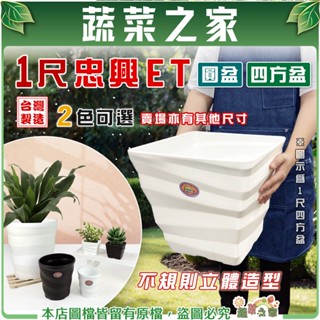 【蔬菜之家滿額免運】忠興ET圓盆、四方盆 (1尺大盆) 多肉造型盆 不規則立體造型超亮眼 多肉盆 觀葉盆 種植盆 造型盆