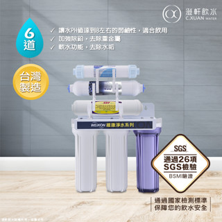 【澄軒飲水-臺北店】維康六道式除鉛+奈米銀鹼性濾心淨水器/濾水器全配備（透過政府規定26項SGS檢驗、符合檢測標準）