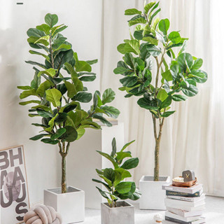 免運～假植物琴葉榕榕樹模擬琴葉榕盆栽尤加利樹植物室內擺件綠植大盆景假花ins家居客廳裝飾