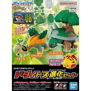 (酷比樂)萬代 代理版 組裝模型 寶可夢 Pokemon PLAMO 收藏集 精選系列 土臺龜 進化套組 8
