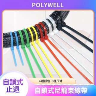 臺灣現貨 POLYWELL 自鎖式尼龍束線帶 1包100入 10~50公分 工業級 紮線帶 綁線帶 塑膠束帶 寶利威爾