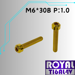 【瘋螺絲】ROYAL 鈦合金螺絲★M6*30B P:1.0 錐形螺絲★64鈦/正鈦/鈦合金螺絲★出貨附發票★土豪金