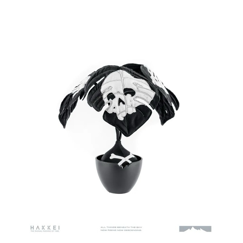 【現貨一株/ 店到店含運優惠】 Hakkei 白景 骨白龜背芋炸彈包 布植物（下訂當日寄出）🥳 僅此一株 欲購從速 🥳