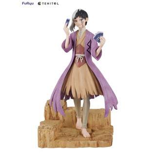 FuRyu TENITOL Dr.STONE 新石紀 淺霧幻 PVC完成品 代理版 豬帽子模型玩具