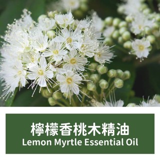 【馥靖精油】檸檬香桃木精油 Lemon Myrtle Essential Oil