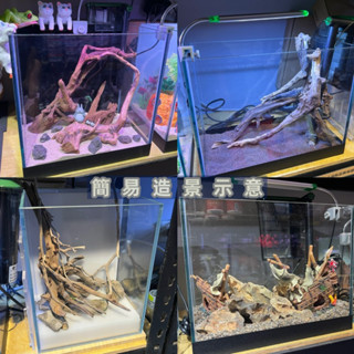 【天然流木】 木材 造景 裝飾 水族 昆蟲 爬蟲 水草 異形 躲藏 擺飾 蝦木 爬蟲 蜥蜴 烏龜 守宮 窈窕木 杜鵑木