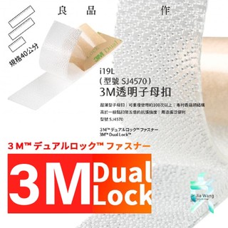 3M 子母扣 台南現貨 40公分長透明款 SJ4570 超薄款蘑菇頭強力背膠 不分公母固定搭扣 i1940 支架王