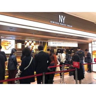 預購⚠️日本限定NY Perfect Cheese紐約完美起司貓舌餅