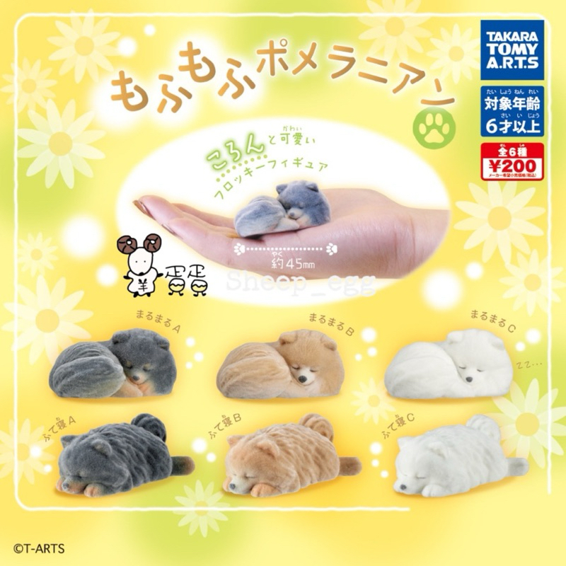 『現貨』羊蛋蛋 轉蛋 扭蛋 正版 T-ARTS 植絨博美犬公仔 毛澎澎 博美犬 動物 狗 造型 公仔