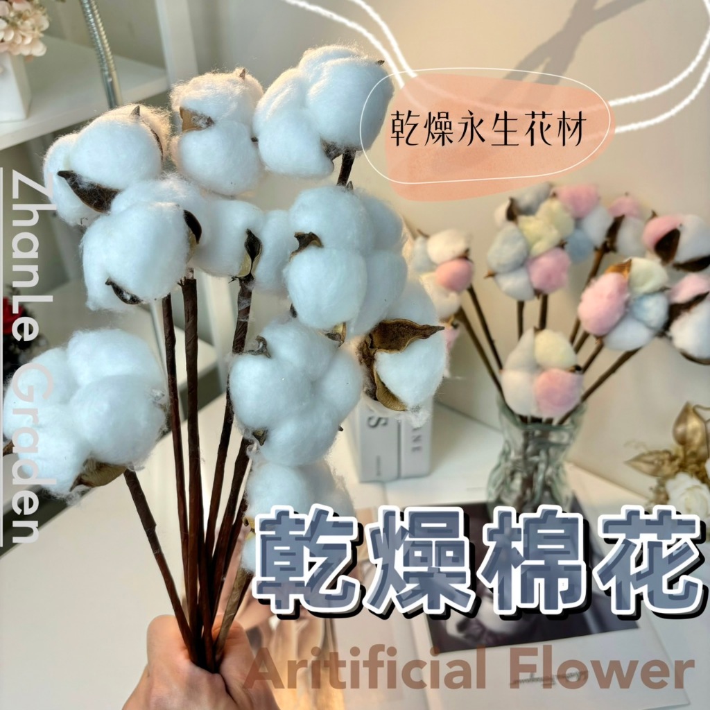 棉花頭 棉花花頭 天然棉花 乾燥棉花 乾燥花 永生花 聖誕diy材料包 永生花材 棉花 拍照道具