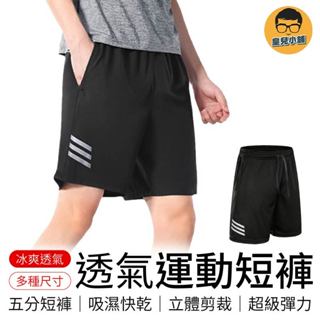 透氣運動短褲 速乾短褲 五分褲 高彈運動短褲 束口褲 休閒短褲 慢跑褲 籃球褲 海灘褲 運動褲 短褲