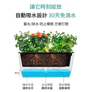🪴🪴自吸水掛盆 花盤幫手 長方形花盆 種菜箱 蓄水花盆 方形盆 自動吸水花盆 種菜盆 自吸花盆 長方形懶人花盆 種菜盆