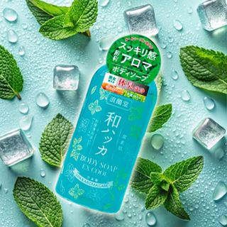 潤素肌 薄荷涼感清爽沐浴露(480ml) 沐浴乳 沐浴精 身體清潔 精油香氛 香氛沐浴乳【小三美日】DS022870