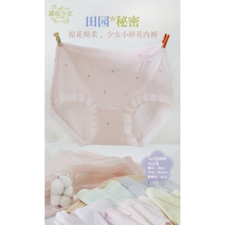 純棉內褲田園圖案提花 包臀版型柔軟好透氣柔美蕾絲內褲 銀離子抑菌底檔純色三角中腰女內褲 梅黛佳人22669