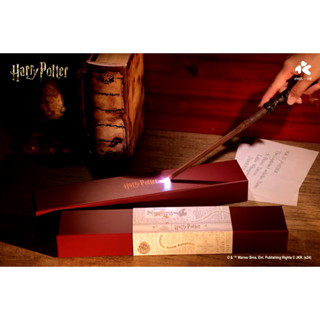 Harry Potter 哈利波特魔杖 +生日蛋糕 3D造型一卡通套組