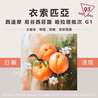 衣索匹亞 西達摩 尼谷西莊園 哈拉塔批次 G1 日曬 200g 淺焙 咖啡豆 熟豆『93咖啡』
