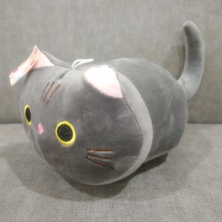 貓咪抱枕 貓咪玩偶 動物玩偶 長約22cm 全新標籤未拆
