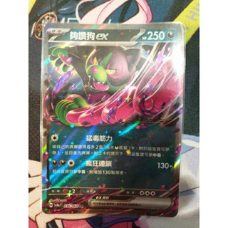 PTCG 寶可夢卡牌 中文版 夠讚狗EX RR