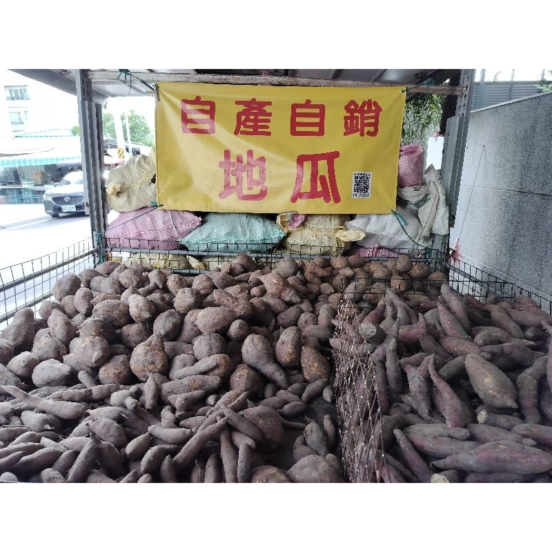 台農 66號紅地瓜 地瓜 一斤19