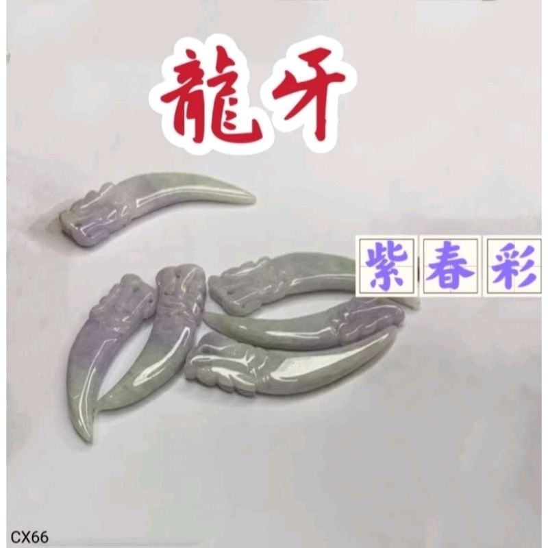 紫龍牙佩墜天然紫春彩龍牙掛件緬料龍牙吊墜YPS24506-33