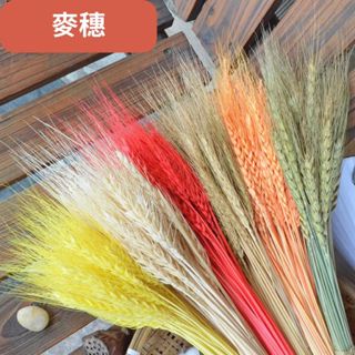 【莫森家居mosson】 臺灣現貨 麥穗5支/份 FM03 花束 玻璃罩永生花 玻璃罩乾燥花 乾燥花 永生花