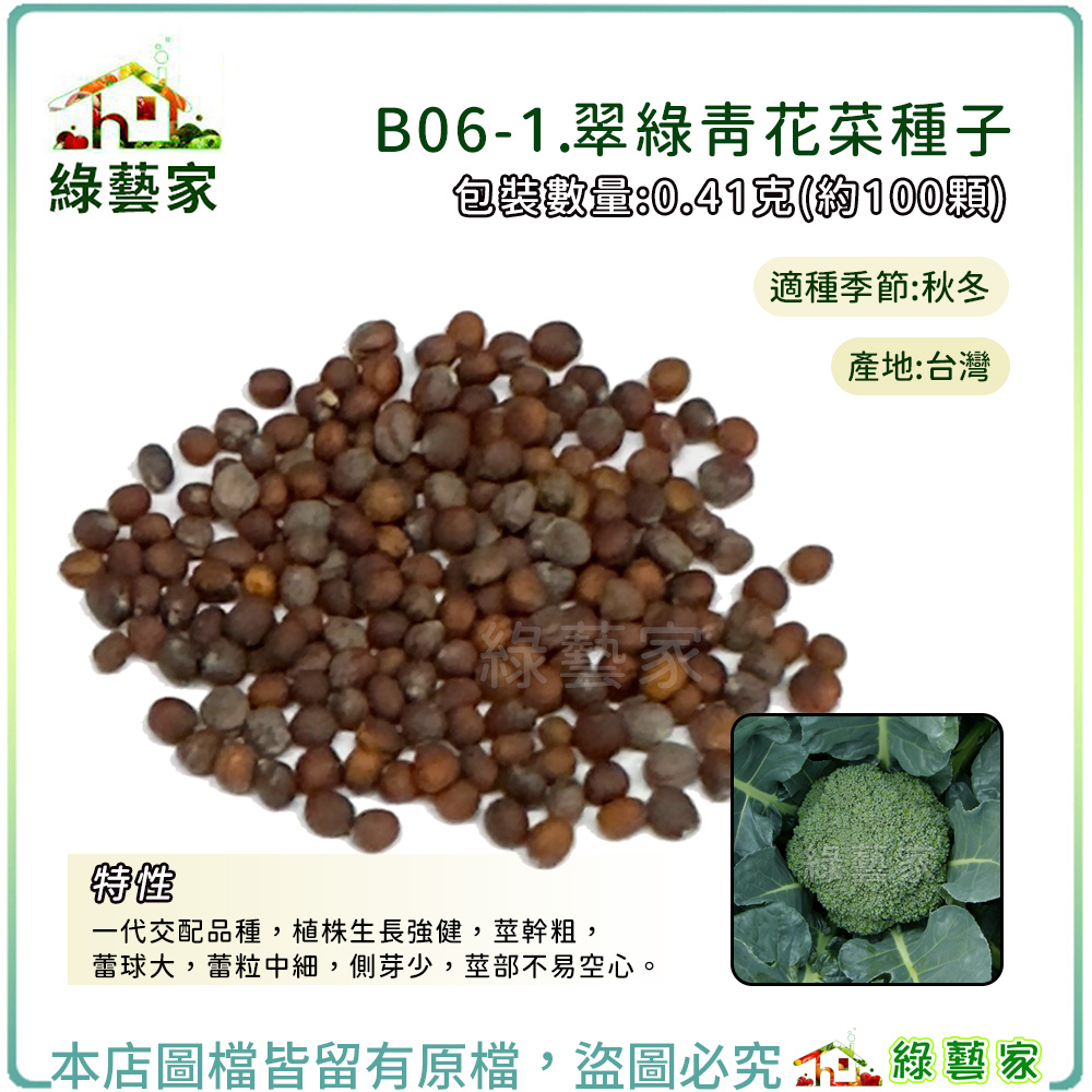 B06-1.翠綠青花菜種子0.41克(約100顆)清花椰菜 F1，植株生長強健，莖幹粗，蕾球大，蕾粒中細【綠藝家】