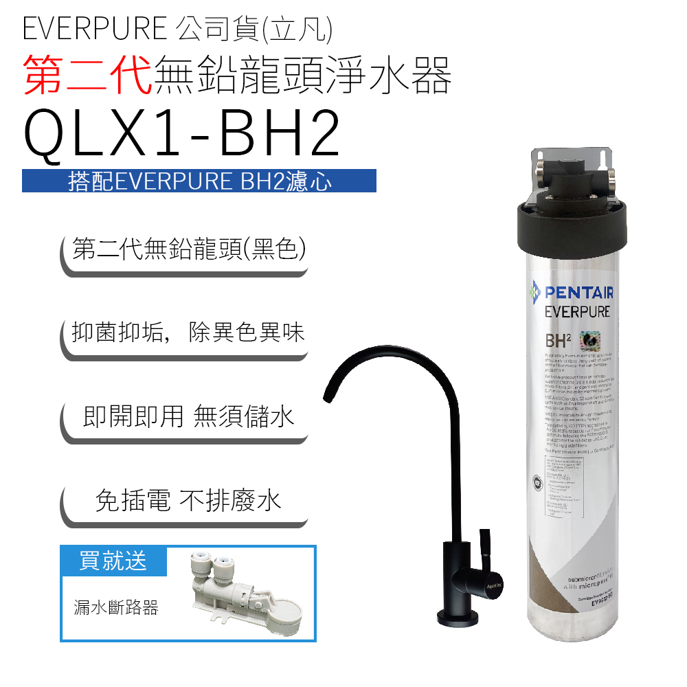 EVERPURE 公司貨(立凡) 第二代無鉛龍頭淨水器 QLX1-BH2