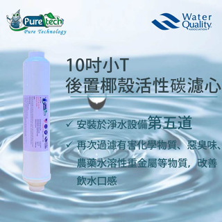 【PureTech水醫生】100%椰殼後置小T33/小T濾心