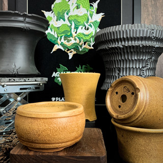 (新上架) 復古 昏黃 金鐘 中式 手工 陶盆 植木 缽 花盆 塊根盆 嚴龍盆 花器 多肉盆