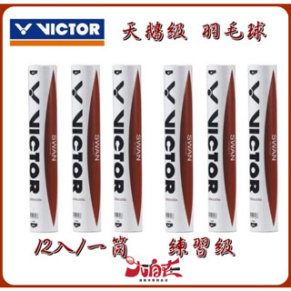 【大自在】VICTOR 勝利 羽球 SWAN 羽毛球 B-12 天鵝級 成功 練習羽球 公司貨 附含稅發票