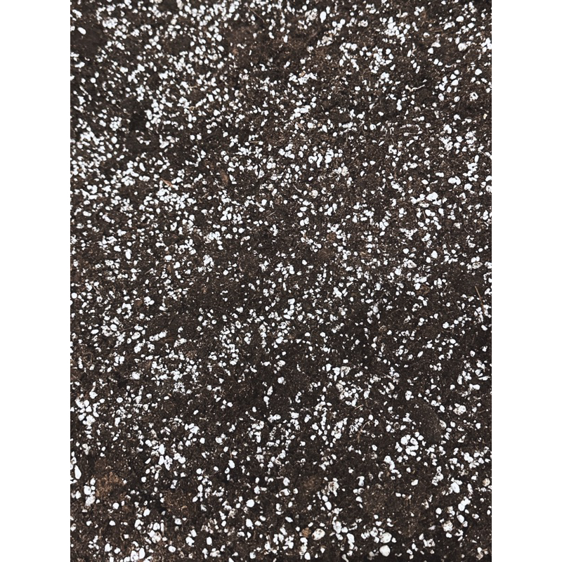 觀葉植物介質系列：泥炭土+珍珠石（加量珍珠石）4:6（5公升）