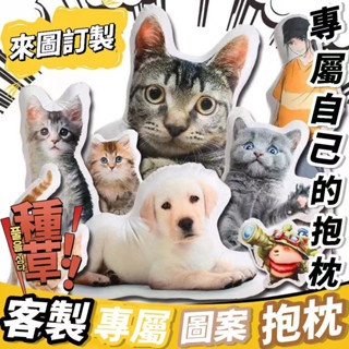 🎁客製化寵物抱枕🎁 聖誕禮物 交換禮物 立體寵物抱枕 寵物客製化 訂製抱枕 貓咪抱枕 造型抱枕 動物抱枕 客製抱枕