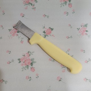 檸檬 刨絲器 刨絲刀 削皮器 削皮刀