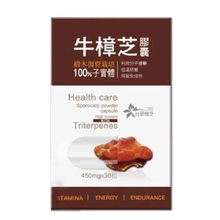 【 小魚兒書房南投店 】 牛樟芝子實體膠囊 牛樟芝 椴木栽培 100 % 子實體膠囊 頂級牛樟芝 子實體