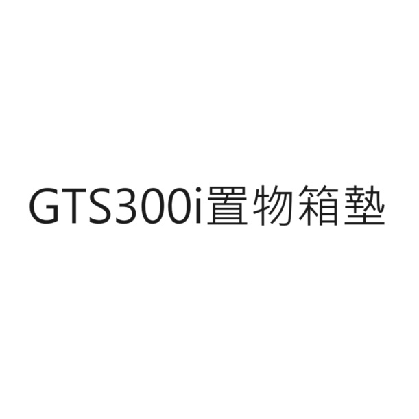 GTS300i置物箱墊 GTS300i車箱墊 置物箱內襯 行李箱墊 車廂內襯 車箱保護墊 馬桶內襯 車廂墊 三陽公司貨